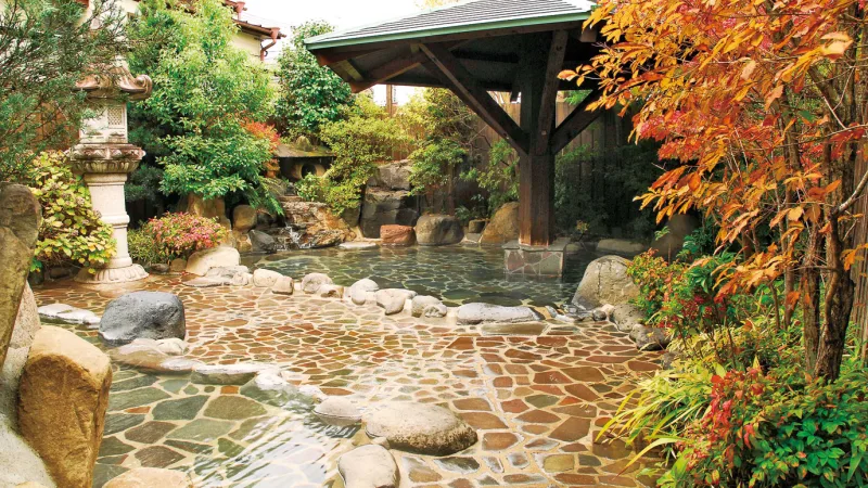 菊池温泉 望月旅館の写真