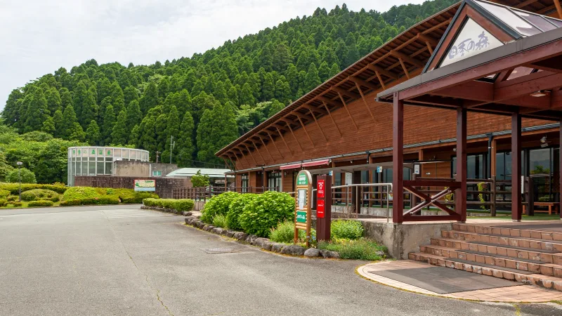 南阿蘇久木野温泉 四季の森の写真
